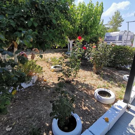 Hotel Green Garden Caravan Agrilia Exterior foto